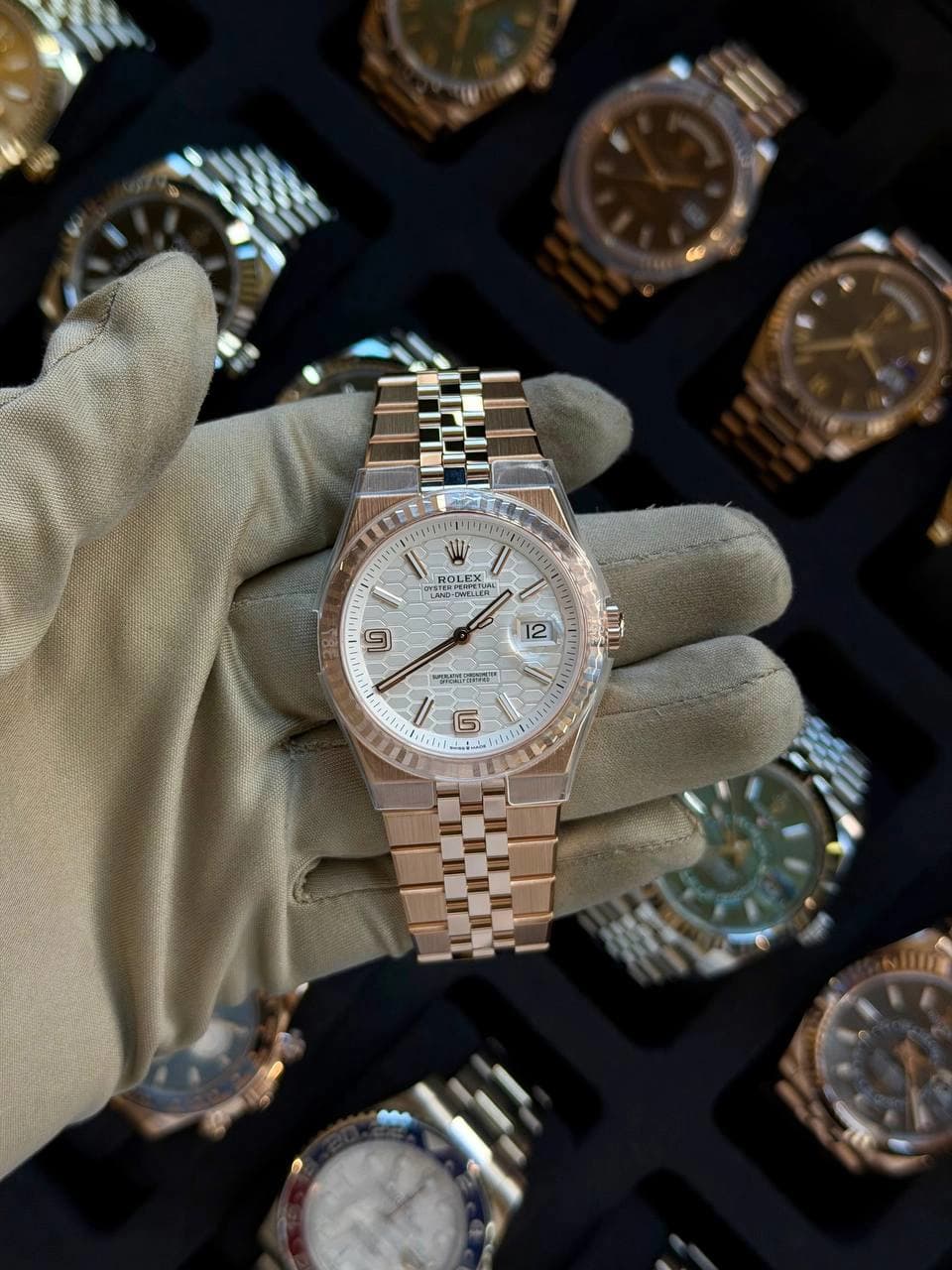 Rolex Land-Dweller 40 127335 Rose